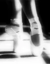 ballet shoes