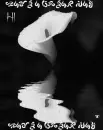 FLOWER - HI