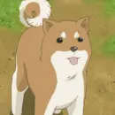 ichigo mashimaro / strawberry marshmallow