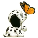 cute dog animation
