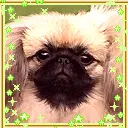 cute dog animation