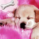 cute dog animation