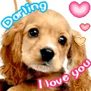 Dog - I Love You