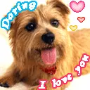 cute dog animation