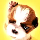  	cute dog animation