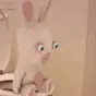 Crazy Bunny Using The Bathroom