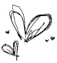 <3