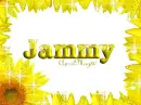 sunflower border jammy