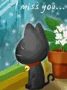 cute cat animation