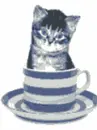 cute  cat animation