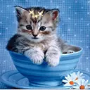 cute cat animation