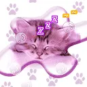 cute cat animation