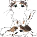 cute cat animation