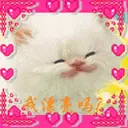 cute cat animation