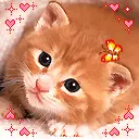 cute cat animation