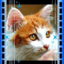 cute cat animation