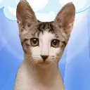 cute cat animation