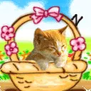 cute cat animation