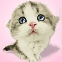 cute cat animation