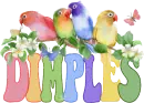 COLORFULBIRDS~Dimples