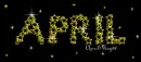twinkle stars night sky april