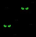 i See You
