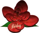 Shirley