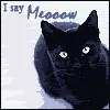 Black Cat