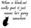 Black Cat