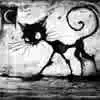 Black Cat