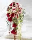 Red Lillies