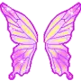 butterfly wings