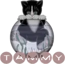 Tammy cat