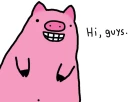 Hi-Pig