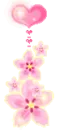 pink flowers