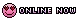 Online Now (Smiley-In Love)