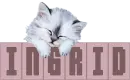 Ingrid sleeping cat