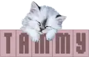 Tammy sleeping cat