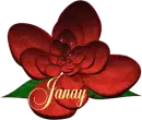 Janay