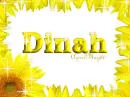 sunflower border dinah
