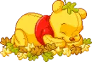 POOH