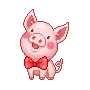 cute piggy