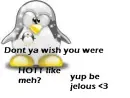 dont ya wish u were hot?
