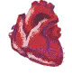 corazÃ³n