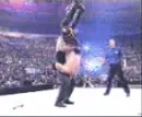 The undertaker