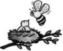 bird and the bee haha