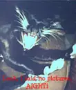 no pix