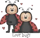 love bugs