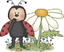 lady bug and daisy