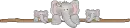 cute baby elephants